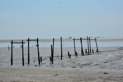 Wooden posts on beach against clear sky