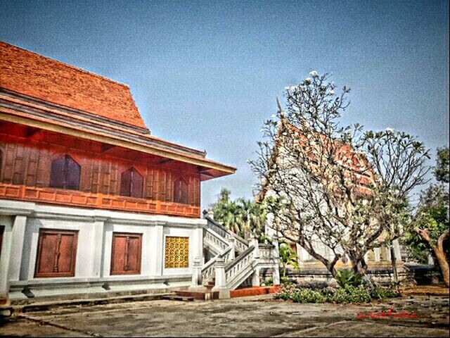 building exterior, architecture, built structure, clear sky, house, residential structure, low angle view, residential building, tree, window, sky, outdoors, day, building, facade, no people, sunlight, copy space, blue, exterior