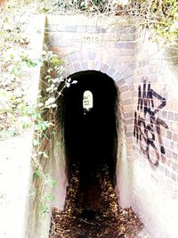 Silhouette of tunnel