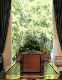 Potted plants and trees seen through window of house