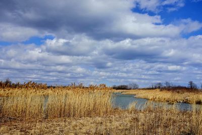 Tommy thompson park landscape in toronto ontario canada