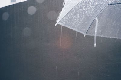 Close-up of raindrops on wet street