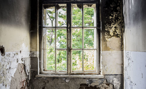 Plants seen through window of abandoned house