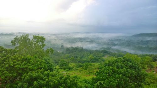 Scenic view of landscape against sky