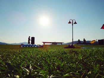 Sun shining through grassy field
