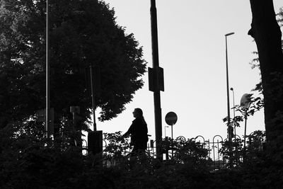 Rear view of silhouette man standing by plants against sky