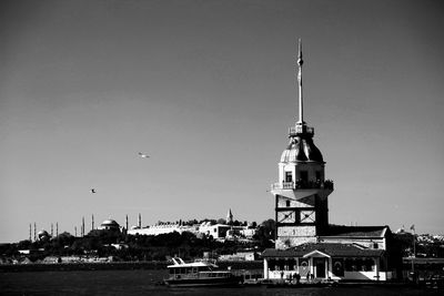 Bird in city against sky