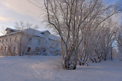 Bare tree on snow covered land against sky