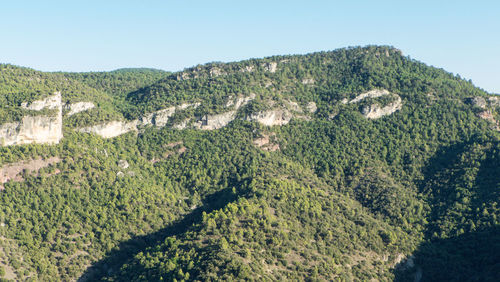 High angle view of trees on landscape against clear sky