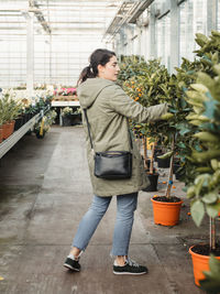 Back view of thoughtful woman in jacket and denim trousers with black handbag focusing and touching citrus tree growing in orange pot while standing against colorful blooming houseplants and choosing plant to buy in contemporary flower market