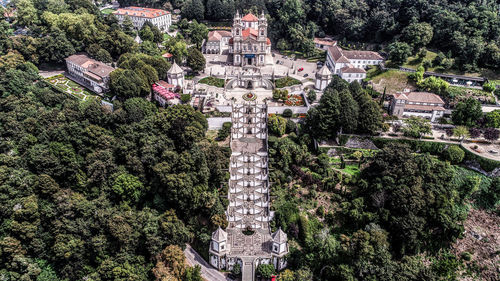 High angle view of trees and plants outside building