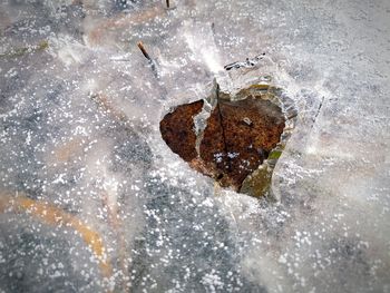 High angle view of frozen water in sea