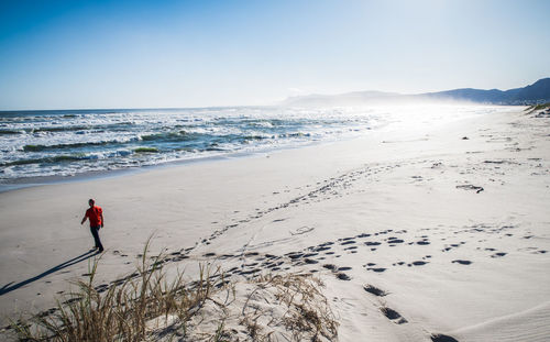 Rear view of man walking on sand at beach against clear sky