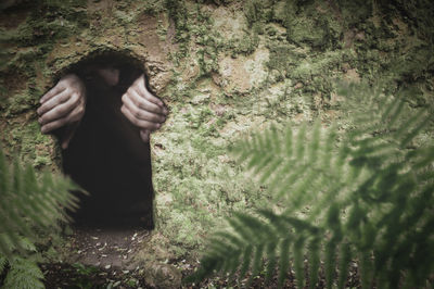 Portrait of woman standing by plants in forest