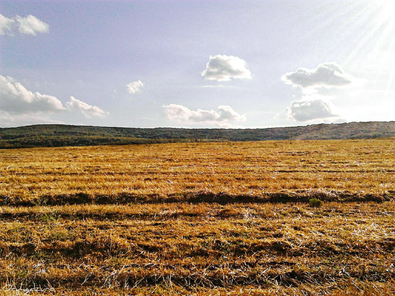 SCENIC VIEW OF GRASSY FIELD AGAINST SKY