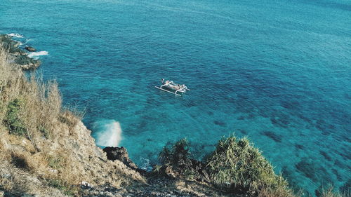 High angle view of turtle in sea