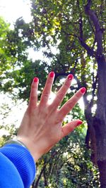 Low angle view of hand against trees