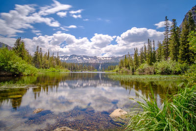 Scenic view of lake in forest against sky