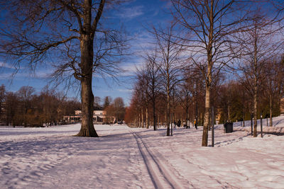 Trees on snow covered field against sky