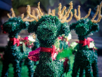 Close-up of christmas decorations on tree