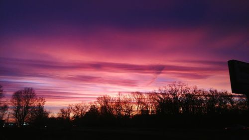 Silhouette of trees at sunset