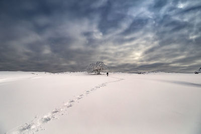 Distant anonymous person walking alone through plain desert terrain covered with white snow with footprints under gloomy gray cloudy sky in winter day