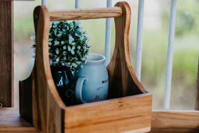Close-up of potted plant on table