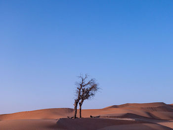 Scenic view of desert against clear blue sky