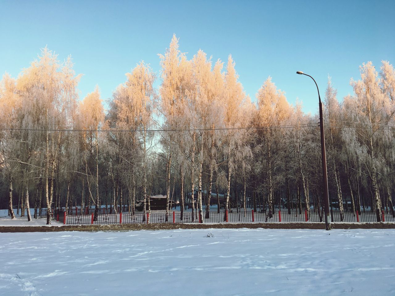 SNOW COVERED FIELD AGAINST SKY