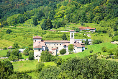 Scenic view of trees and houses in forest