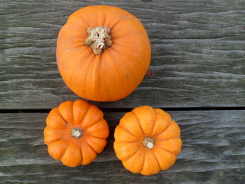 Close-up of pumpkins on wood during autumn