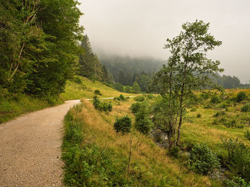 Scenic view of road amidst trees on field against sky