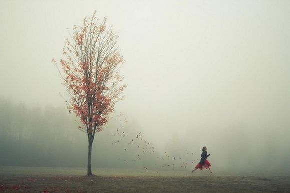 fog, foggy, lifestyles, leisure activity, tree, full length, men, weather, rear view, walking, tranquil scene, tranquility, landscape, nature, bare tree, field, standing