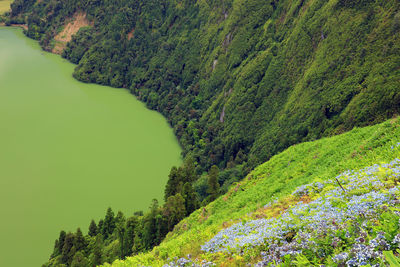 High angle view of green landscape against sky