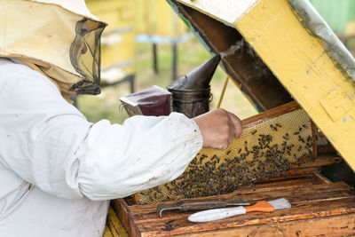 Beekeeper holding tray of honeycomb at park