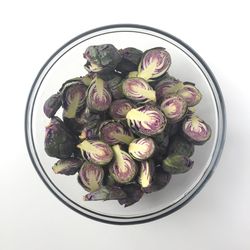 High angle view of roses against white background