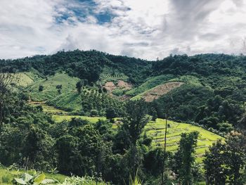 Roadside view from nowhere