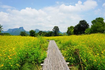 Scenic view of grassy field against cloudy sky