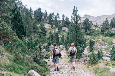 Rear view of people walking on mountain against trees