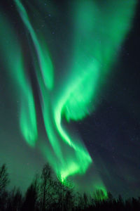 Low angle view of illuminated light