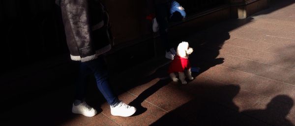 Low section of people walking on floor