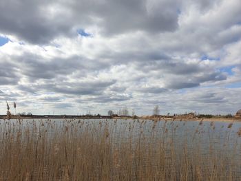 Scenic view of field against cloudy sky