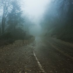 Wet road amidst trees against sky during rainy season