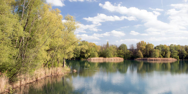 Scenic view of lake by trees against sky