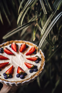 Close-up of cake