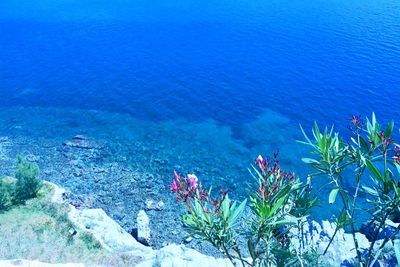 High angle view of sea against blue sky
