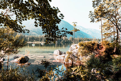 Scenic view of lake in forest against sky