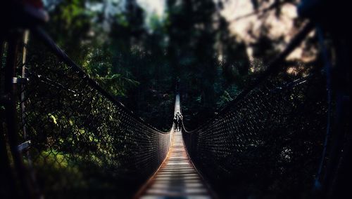 Footbridge amidst trees in forest