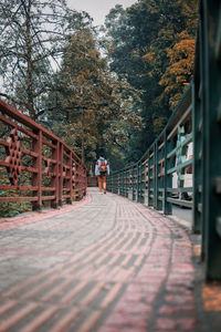 Footpath amidst trees