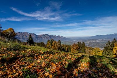 Scenic view of landscape against blue sky